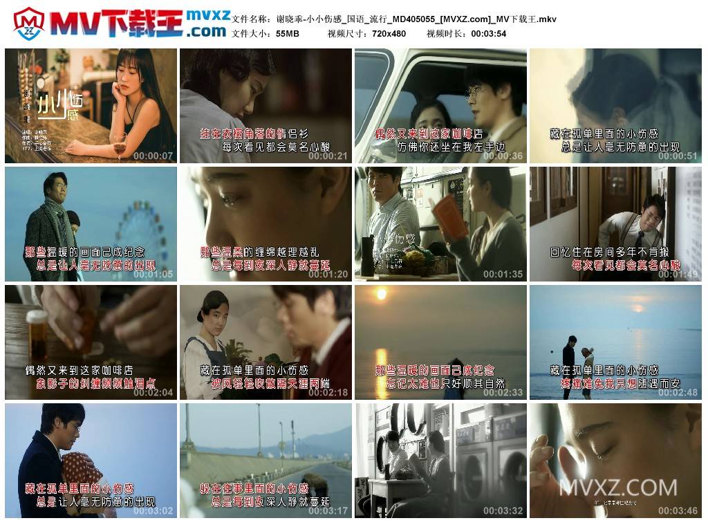 谢晓乖-小小伤感_国语_流行_MD405055